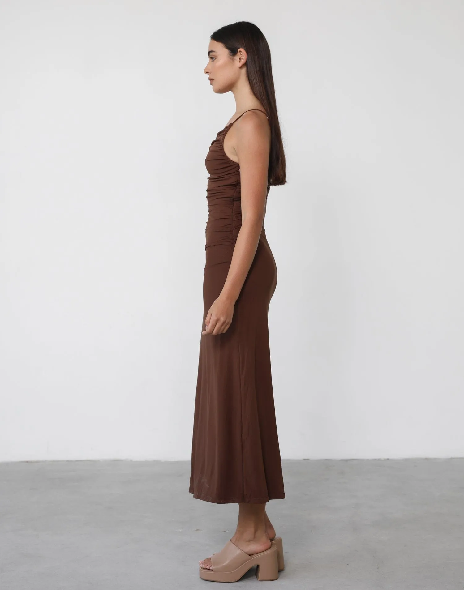 Luciana Maxi Dress (Brown)
